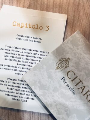 Mercato dei Vini dei Vignaioli Indipendenti FIVI Mercato dei Vini dei Vignaioli Indipendenti FIVI