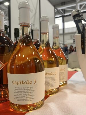 Mercato dei Vini dei Vignaioli Indipendenti FIVI Mercato dei Vini dei Vignaioli Indipendenti FIVI