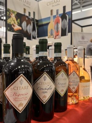 Mercato dei Vini dei Vignaioli Indipendenti FIVI Mercato dei Vini dei Vignaioli Indipendenti FIVI